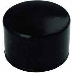 Olejový filtr  pro motory travních sekaček (B&S 492932)